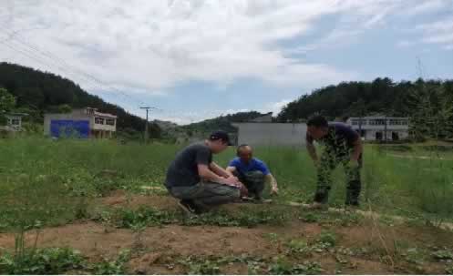 有机种植专业检查员的工作