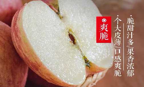 红富士苹果2.png